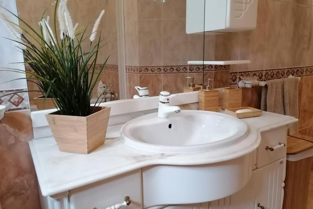 Refugio Do Seixoso Villa Celorico De Basto Kültér fotó